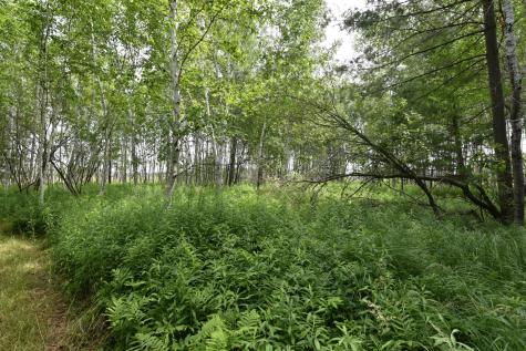 18625 Skunk Lake Road Sandstone MN 55072