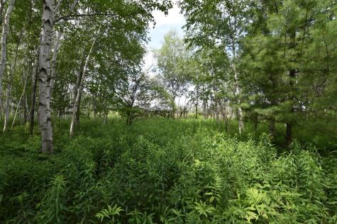 18625 Skunk Lake Road Sandstone MN 55072
