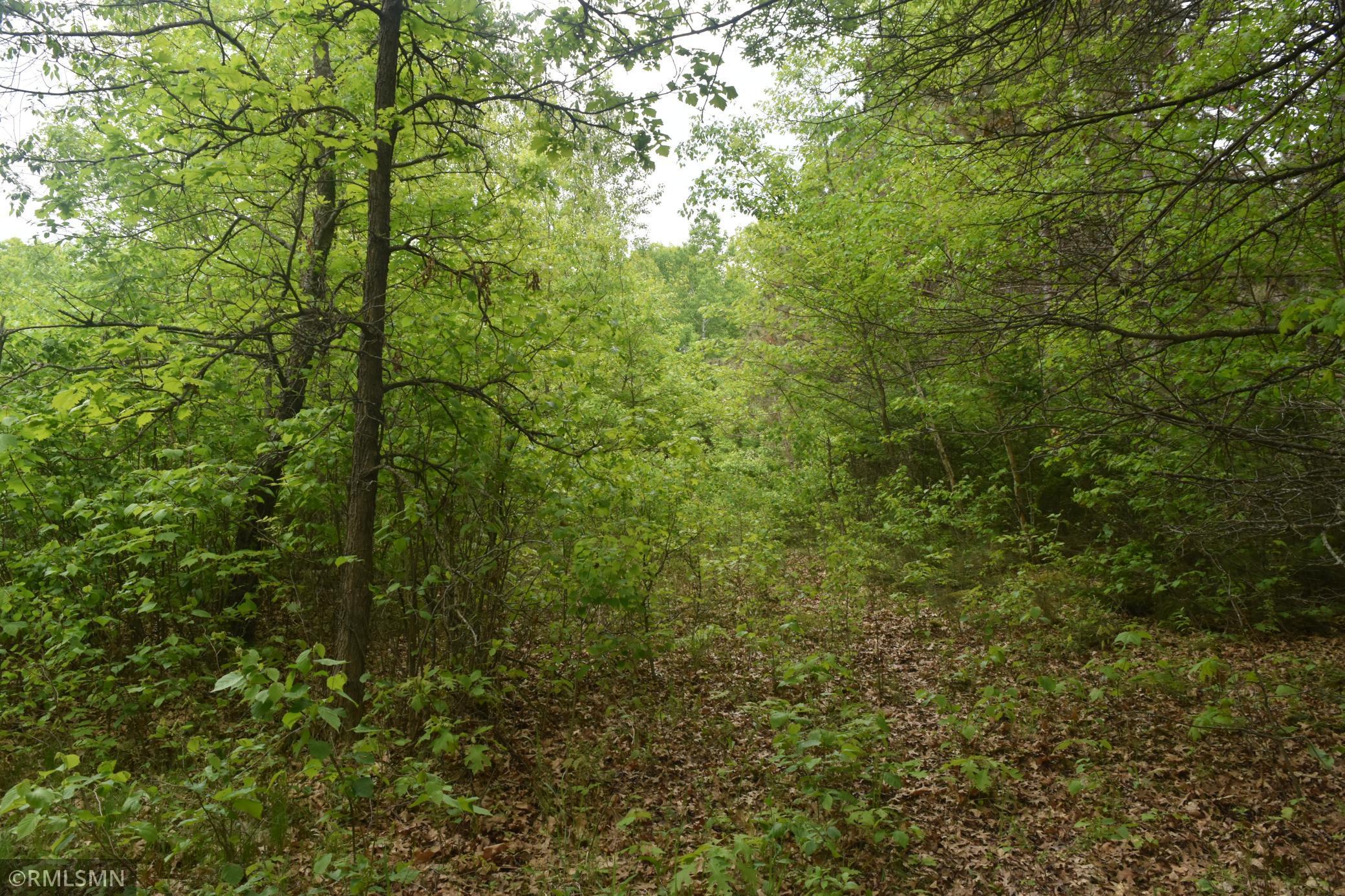 44863 State Highway 48 Arlone Twp MN 55037