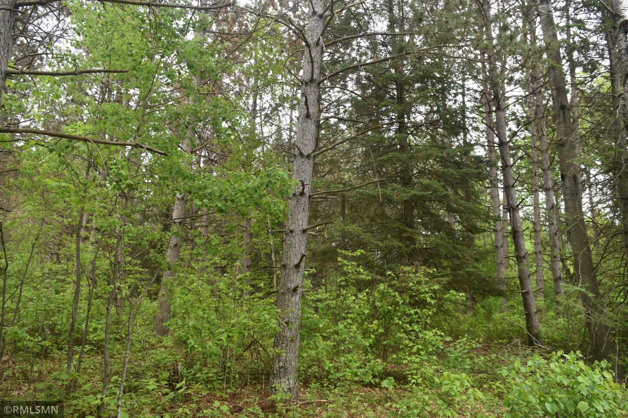 44863 State Highway 48 Arlone Twp MN 55037