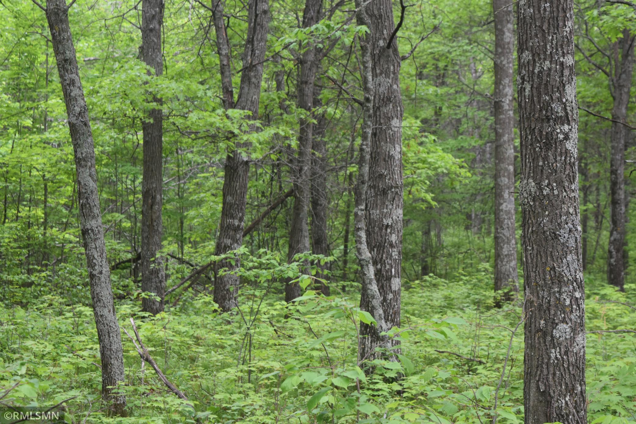 44863 State Highway 48 Arlone Twp MN 55037