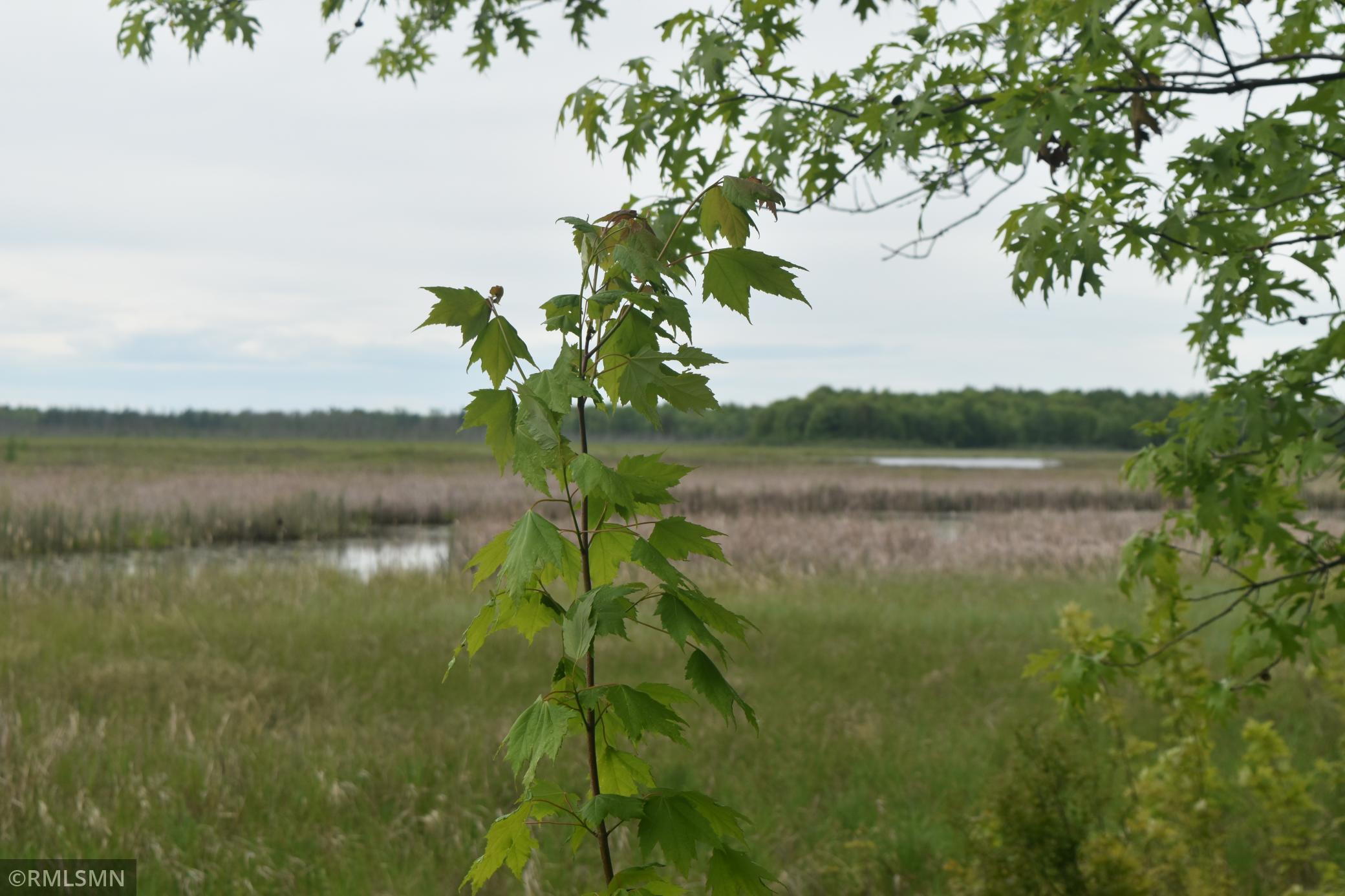 44863 State Highway 48 Arlone Twp MN 55037