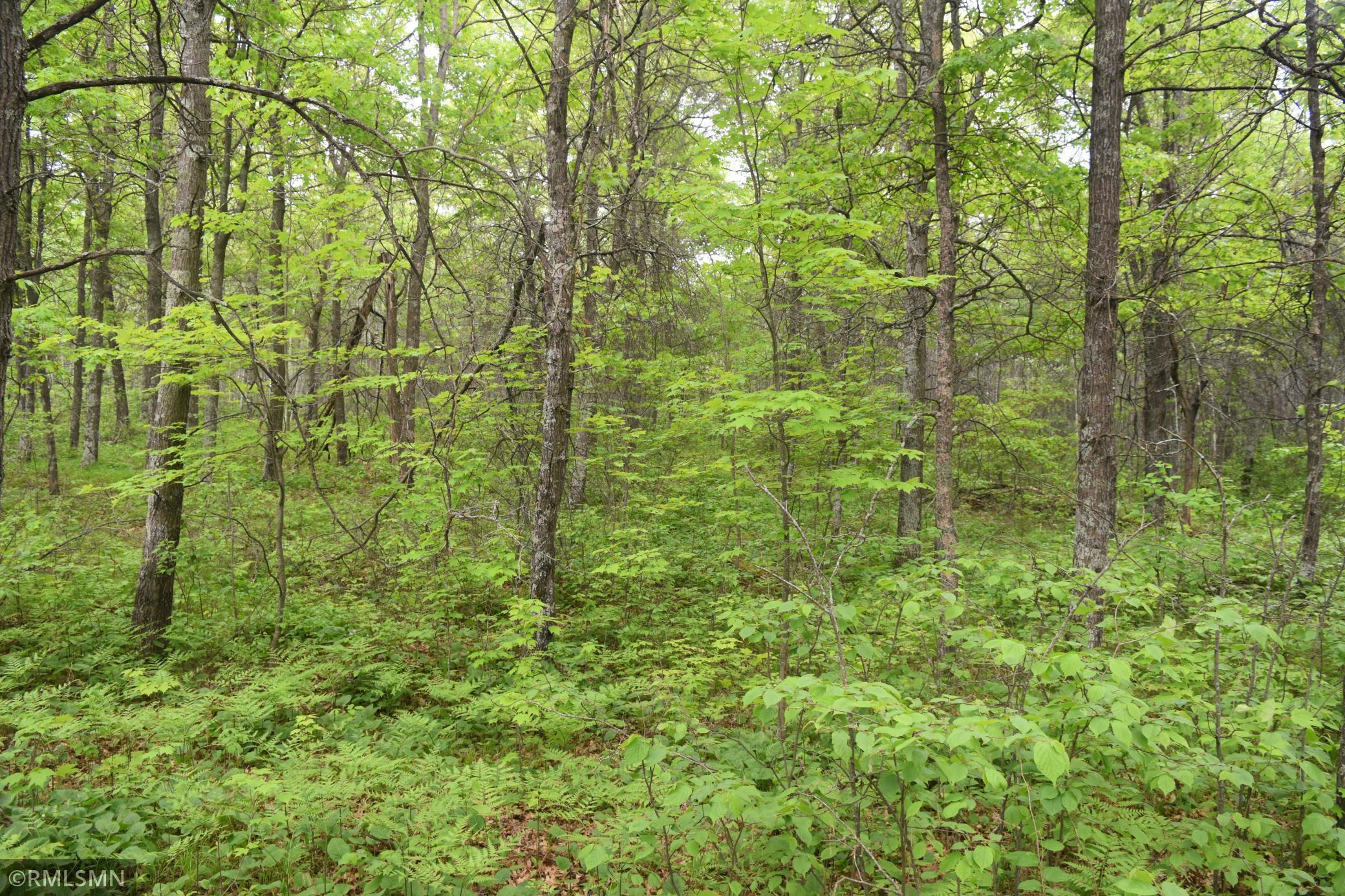 44863 State Highway 48 Arlone Twp MN 55037