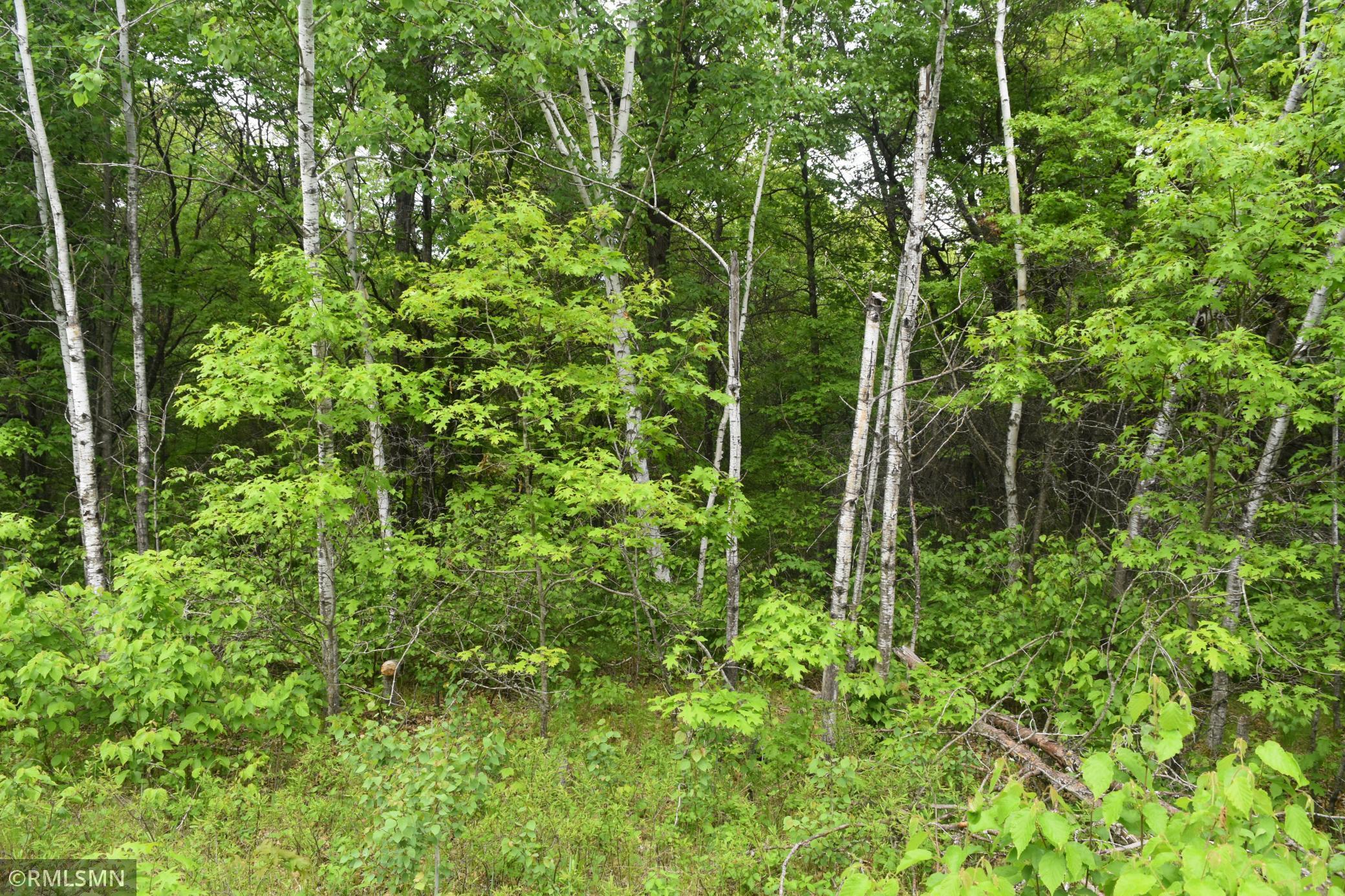 44863 State Highway 48 Arlone Twp MN 55037