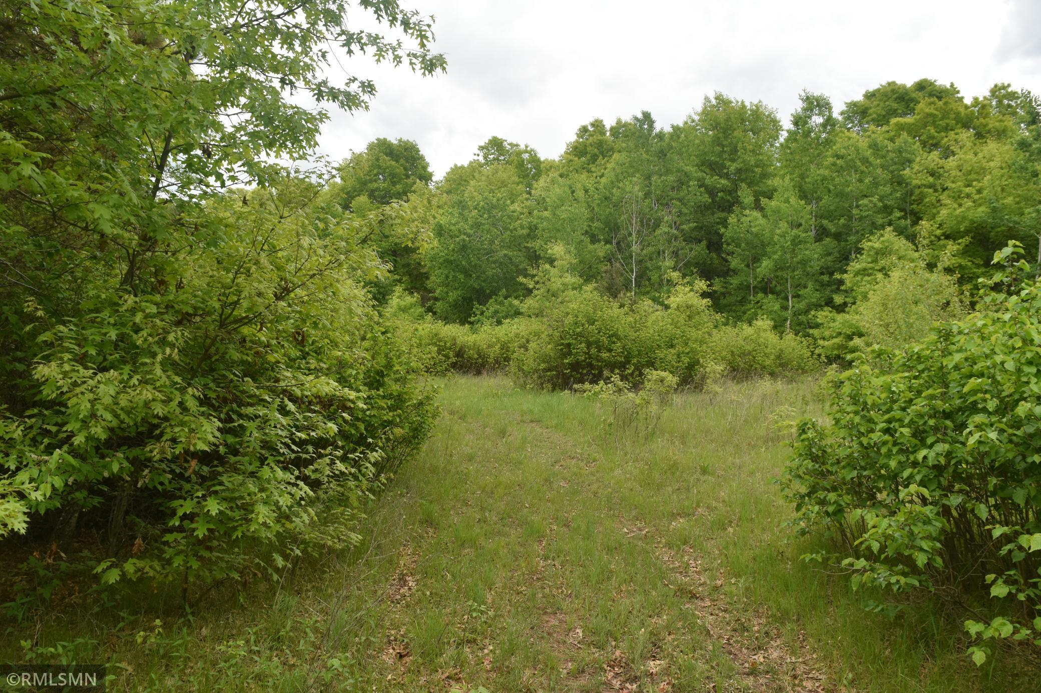 44863 State Highway 48 Arlone Twp MN 55037