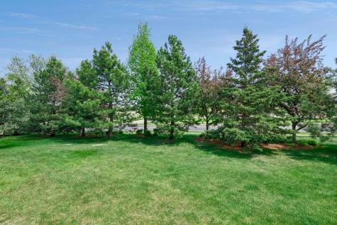 13890 Blanca Court Rosemount MN 55068
