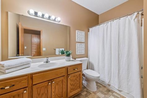 464 Meadow Lane Norwood Young America MN 55397