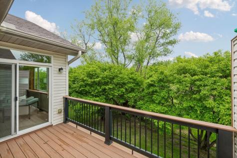 464 Meadow Lane Norwood Young America MN 55397