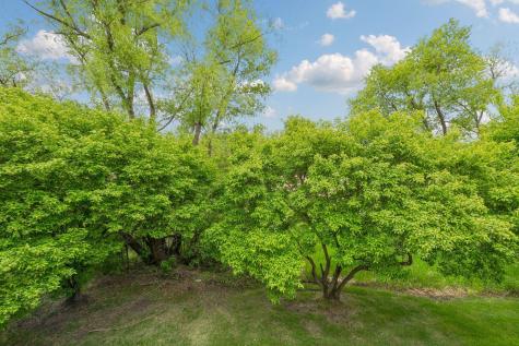 464 Meadow Lane Norwood Young America MN 55397