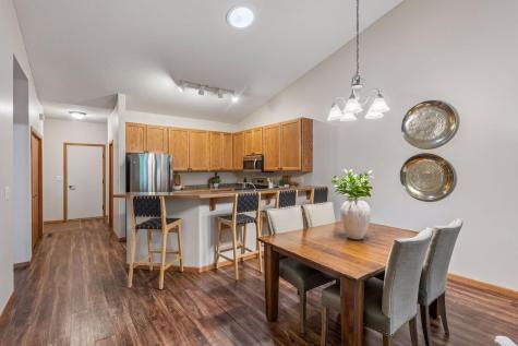 464 Meadow Lane Norwood Young America MN 55397