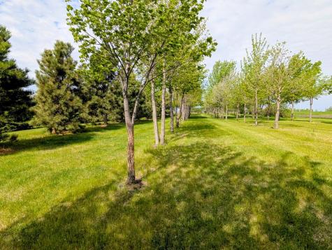 3030 60th Avenue NW Montevideo MN 56265