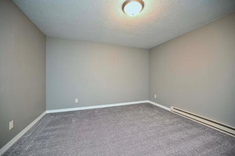 208 Alpine Ridge Wabasha MN 55981