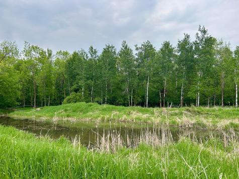10696 Leaf River Road Wadena MN 56482