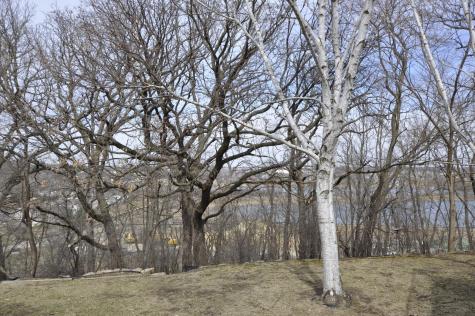 64 Conner Circle SW Rochester MN 55902