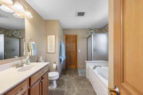 13609 Atwood Trail Rosemount MN 55068