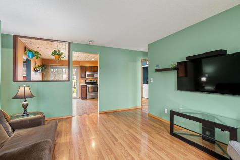 127 E Mckinley Street Owatonna MN 55060
