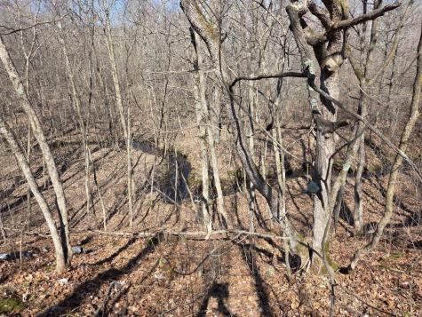 51948 River Road Rush City MN 55069