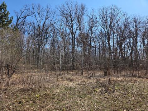 51948 River Road Rush City MN 55069