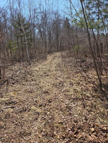 51948 River Road Rush City MN 55069