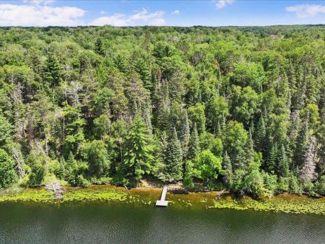 1227 Sunset Hill Road NE Outing MN 56662