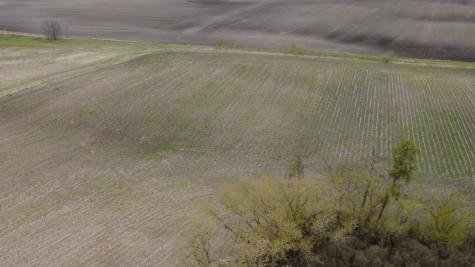 23889 County Highway 1 Fergus Falls MN 56537