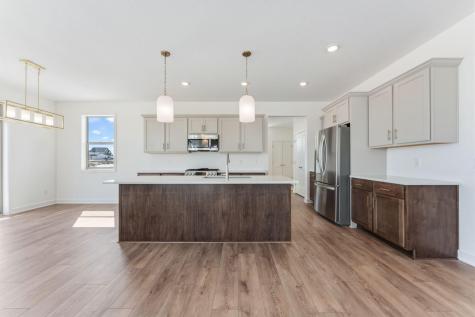 15032 Ardmullivan Lane Rosemount MN 55068