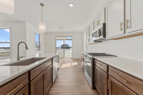15032 Ardmullivan Lane Rosemount MN 55068