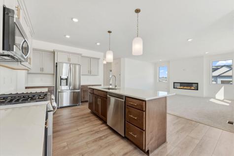 15032 Ardmullivan Lane Rosemount MN 55068