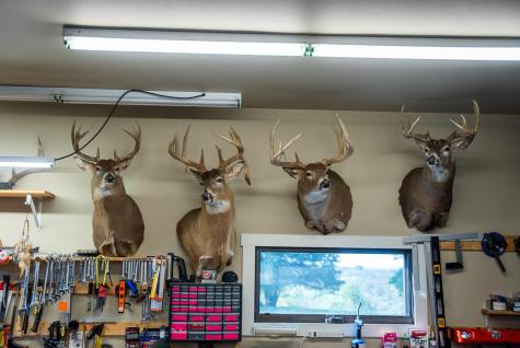 32979 County Road 1 La Crescent MN 55947