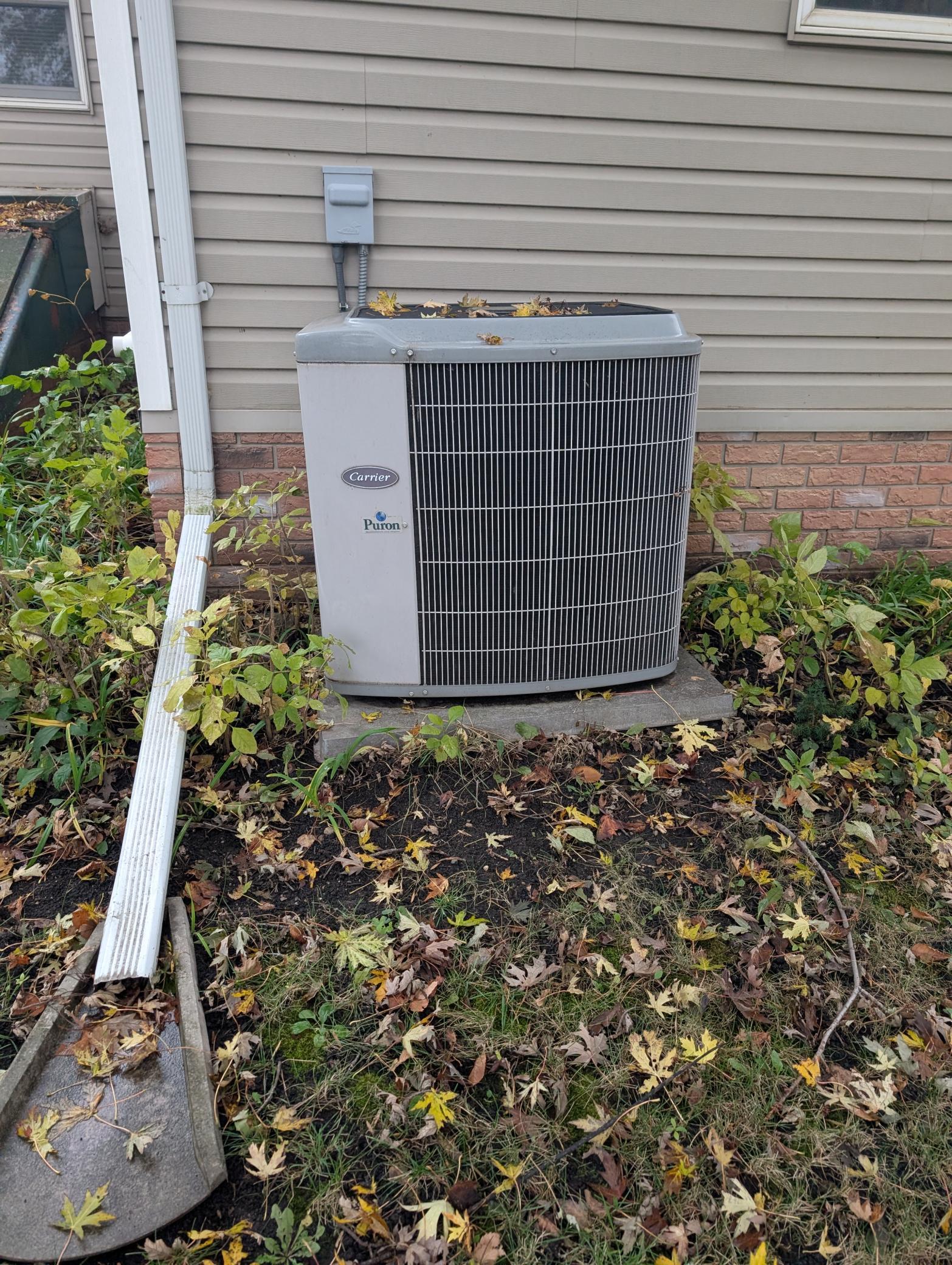 150 Mason Avenue Alden MN 56009