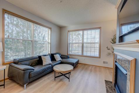 4470 Rosemary Way Hugo MN 55038