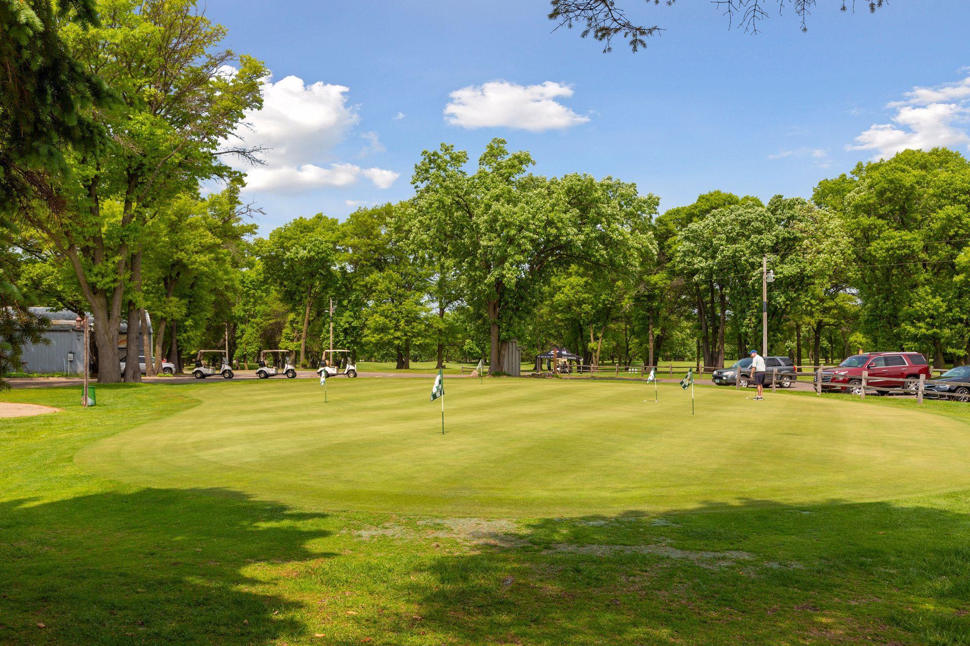 1438 154th Lane NW Andover MN 55304