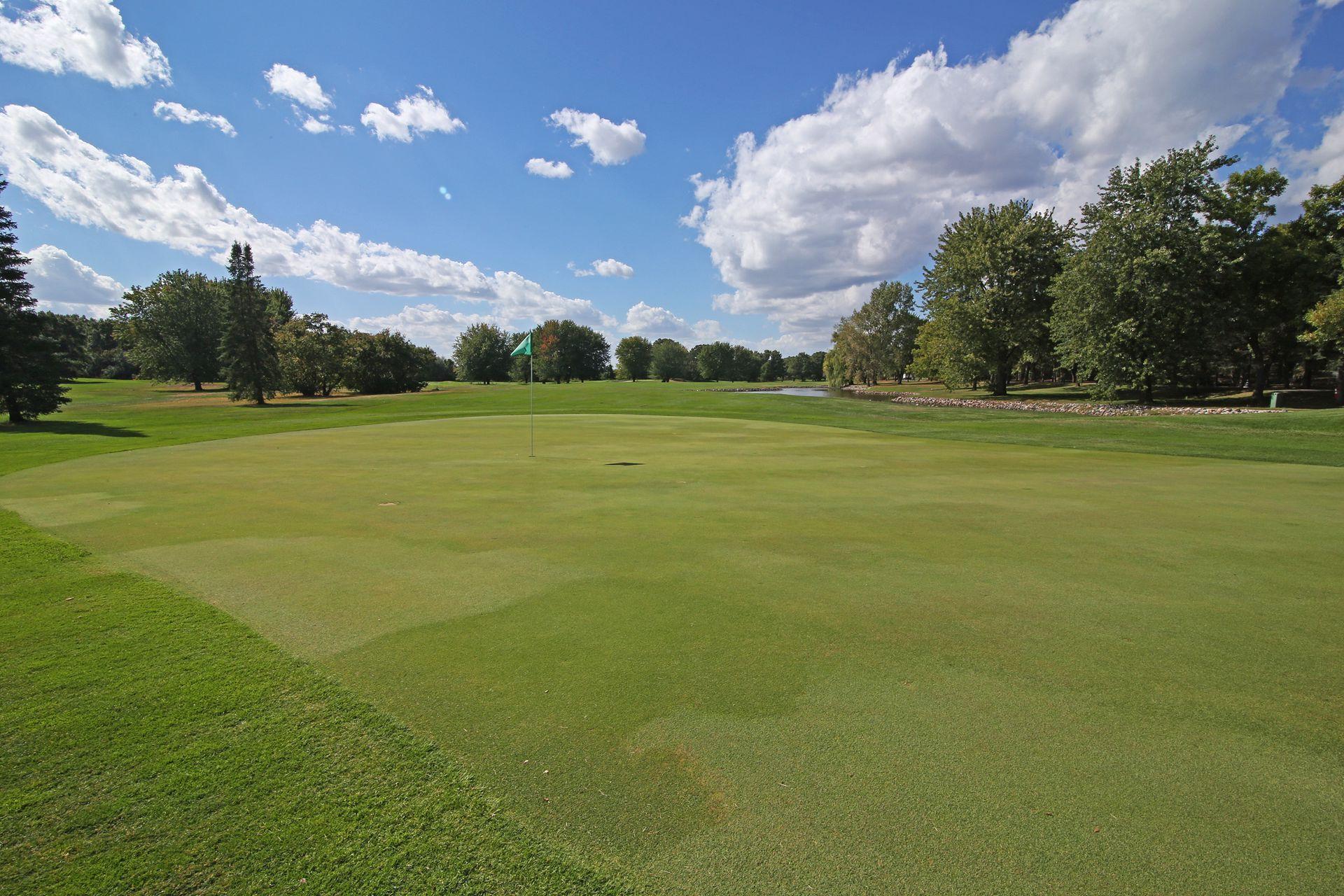 1438 154th Lane NW Andover MN 55304