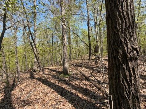 48990 County Highway 17 Vergas MN 56587