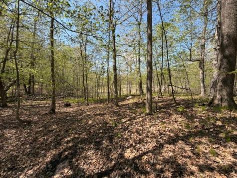 48990 County Highway 17 Vergas MN 56587