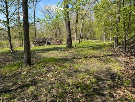 48990 County Highway 17 Vergas MN 56587
