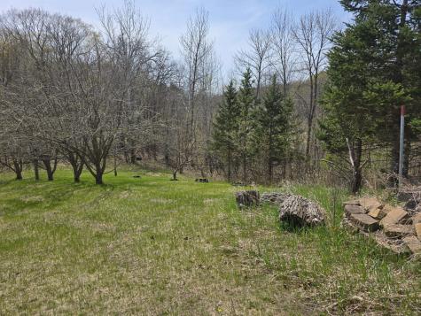 50050 Leek Lake Drive Vergas MN 56587