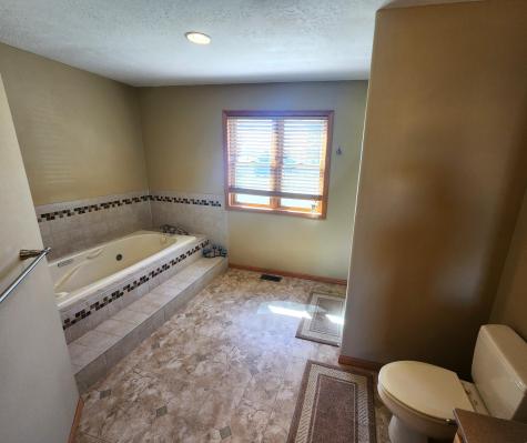 1338 140th Avenue Holland MN 56139