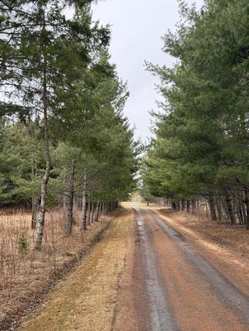 3630 County Road 142 International Falls MN 56649