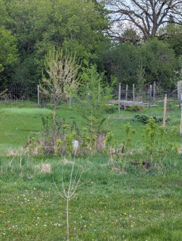 914 NE 2nd Avenue NE Long Prairie MN 56347