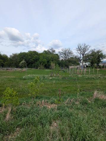 914 NE 2nd Avenue NE Long Prairie MN 56347
