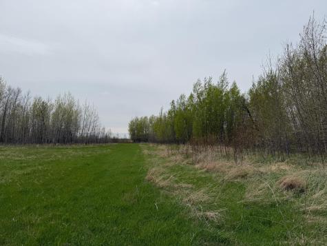 24306 County Road 6 Strathcona MN 56759