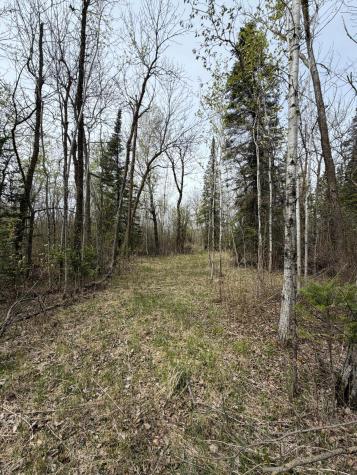 24306 County Road 6 Strathcona MN 56759