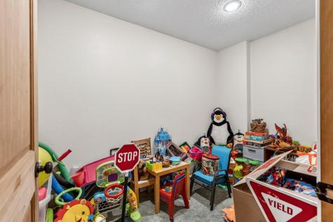 28478 Jesse Ryan Court Danbury WI 54830