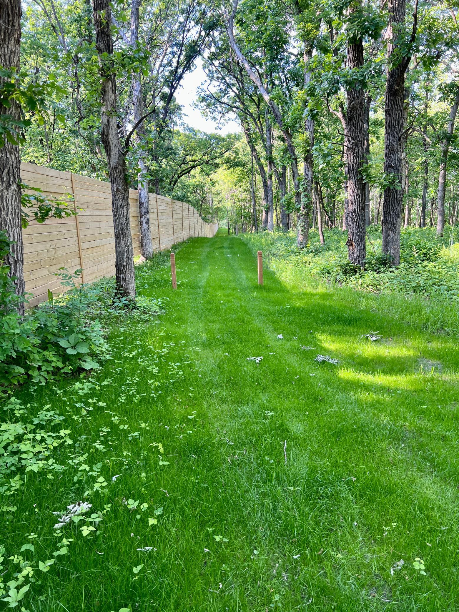 Tbd Norwood Lane Battle Lake MN 56515