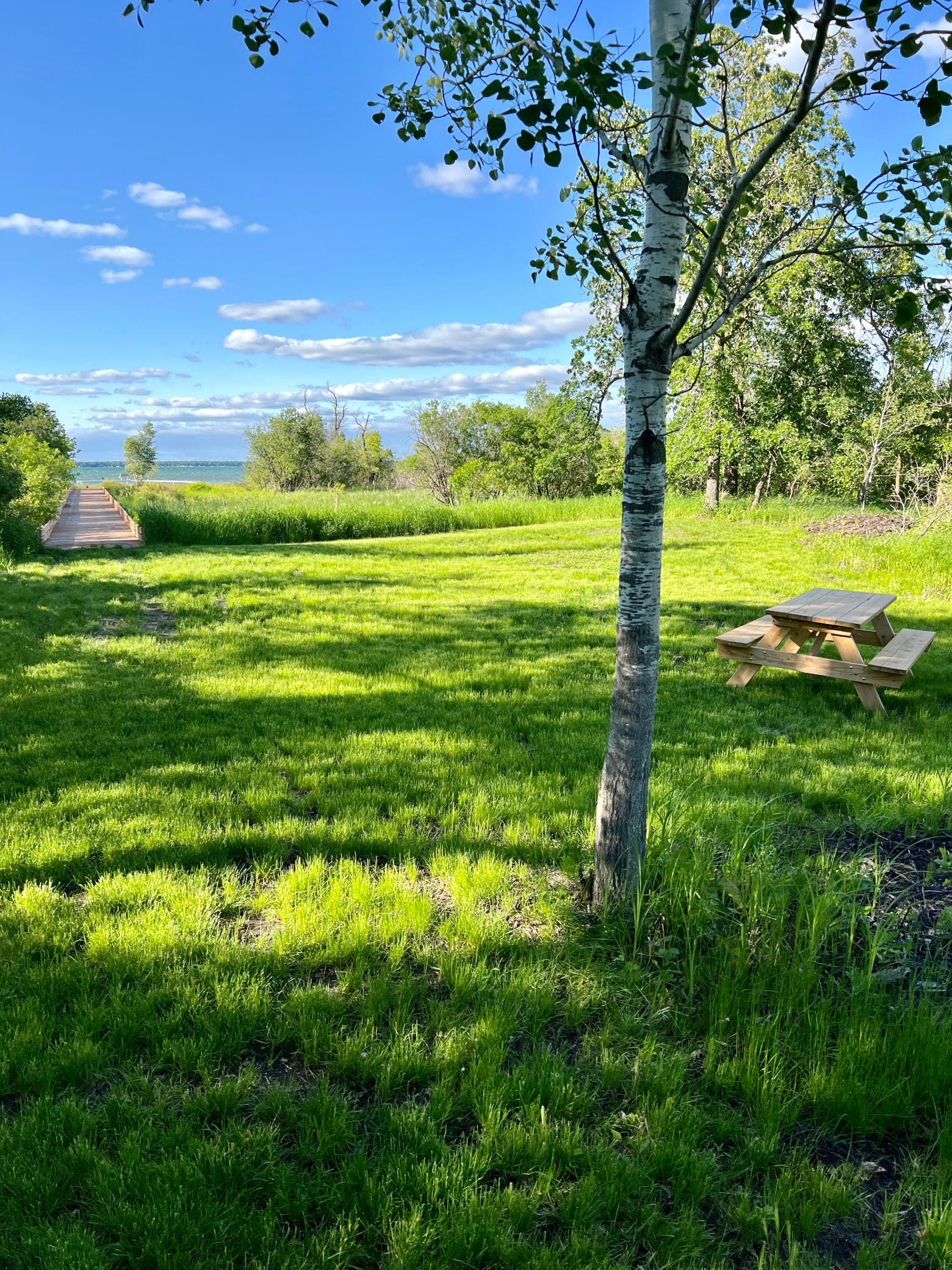 Tbd Norwood Lane Battle Lake MN 56515