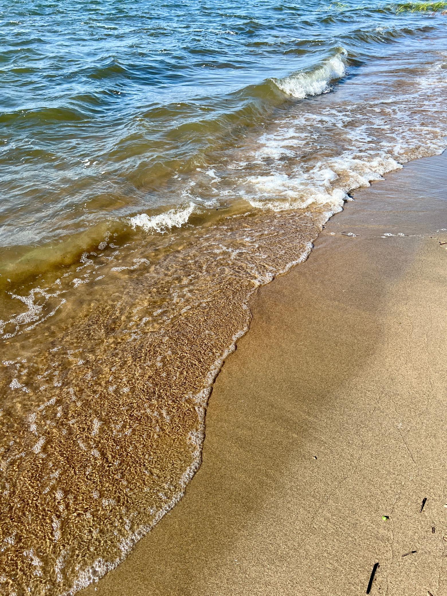 Tbd Norwood Lane Battle Lake MN 56515