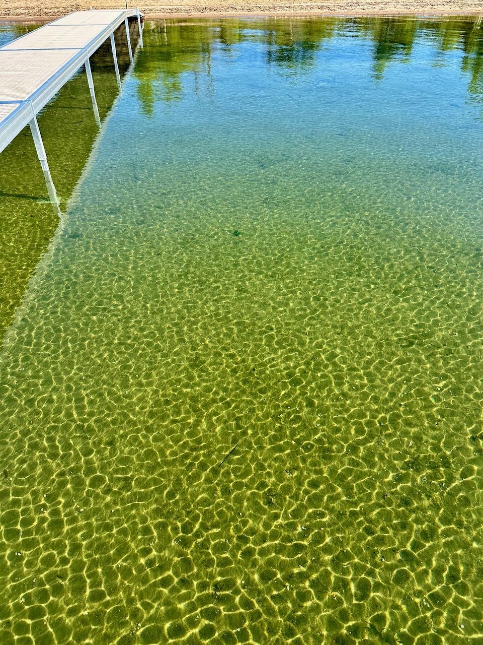 Tbd Norwood Lane Battle Lake MN 56515