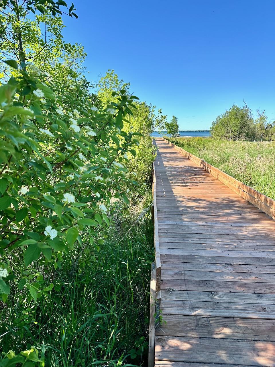 Tbd Norwood Lane Battle Lake MN 56515