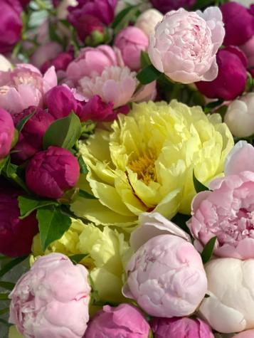 708 Saint Olaf Avenue Northfield MN 55057